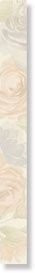 LIST. QUEEN ROSE BIANCO NEVE 4,5х45