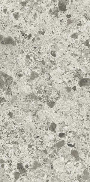 Ariostea Fragmenta Grigio Luminoso Soft 60x120