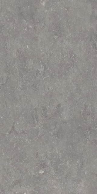 Ariana Memento Bruges Grey Nat R 60x120H0.85