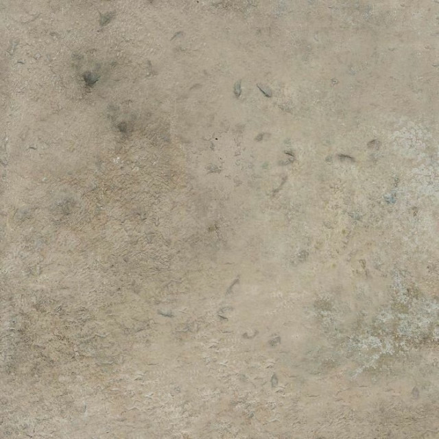 Atlas Concorde Aix Cendre 20mm 60x60