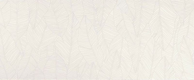 Atlas Concorde Aplomb White Leaf 50x120