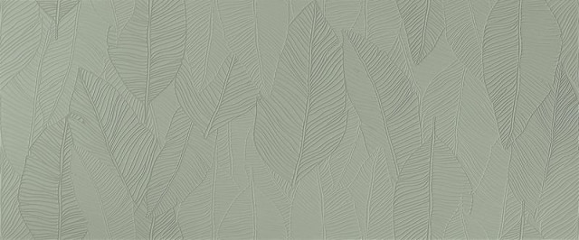 Atlas Concorde Aplomb Lichen Leaf Lux 50x120