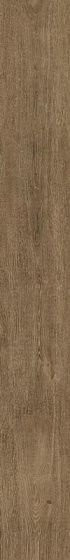 Atlas Concorde Arbor Cognac Ret 30х240
