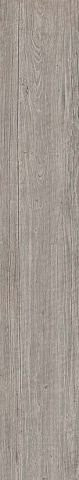 Atlas Concorde Axi Silver Fir 25х150