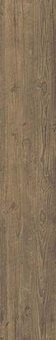 Atlas Concorde Axi Brown Chestnut 25х150