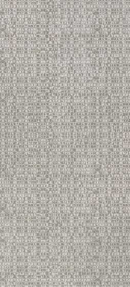 Atlas Concorde Blaze Aluminium Texture 50x110