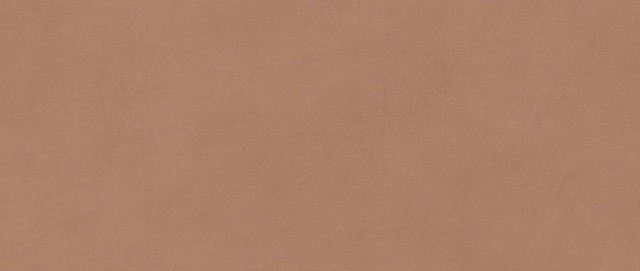 Atlas Concorde Boost Expression Sienna Matt 50x120