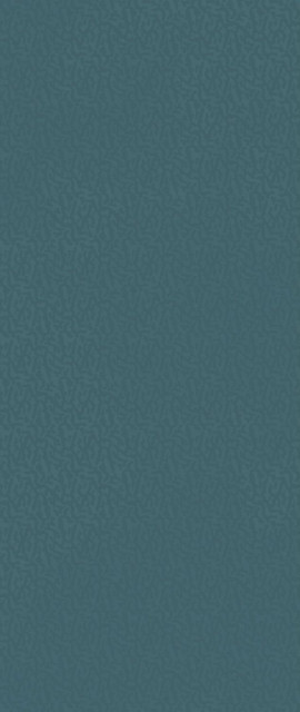Atlas Concorde Boost Color Navy Frog 50x120