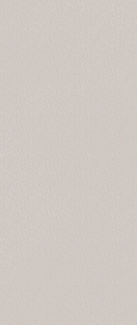 Atlas Concorde Boost Color Dove Frog 50x120