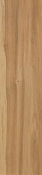 Atlas Concorde Etic Pro Rovere Venice Grip 22.5×90