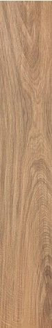 Atlas Concorde Etic Rovere 15х90