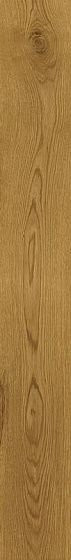 Atlas Concorde Exence Amber 18,5х150