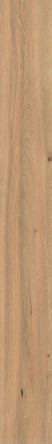 Atlas Concorde Log Icon Oak Matte Sensitech 20x180