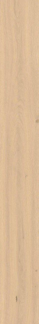 Atlas Concorde Log Bright Oak Matte Sensitech 20x180