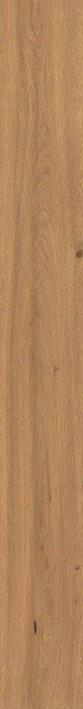 Atlas Concorde Log Amber Oak Matte Sensitech 20x180
