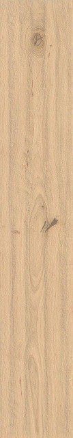 Atlas Concorde Log Bright Oak Matte Sensitech 20x120