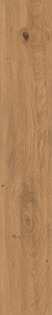 Atlas Concorde Log Amber Oak Matte Sensitech 20x120