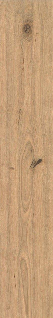 Atlas Concorde Log Icon Oak Matte Sensitech 20x120