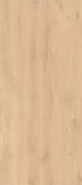 Atlas Concorde Log Bright Oak Matte 6mm 120x278