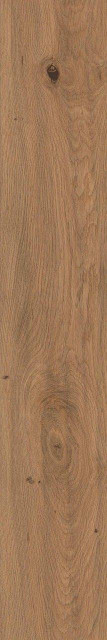 Atlas Concorde Log Deep Oak Matte Sensitech 20x120