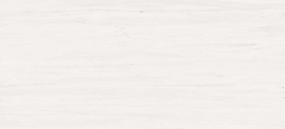 Atlas Concorde Marvel Stone Bianco Dolomite 50х110