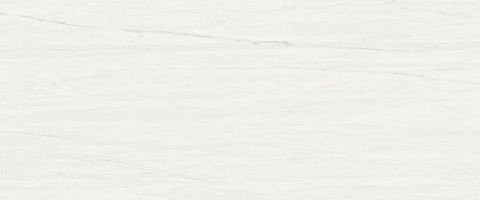 Atlas Concorde Marvel Stone Bianco Dolomite 50х120