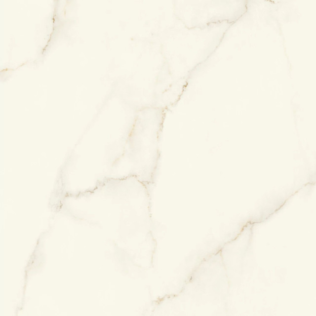 Atlas Concorde Marvel X Calacatta Apuano Silk 120x120