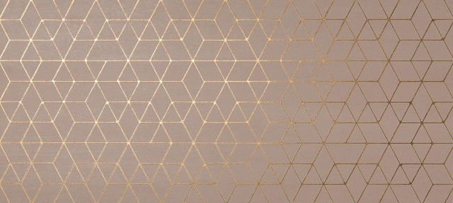 Atlas Concorde Mek Rose Hexagon 50x110