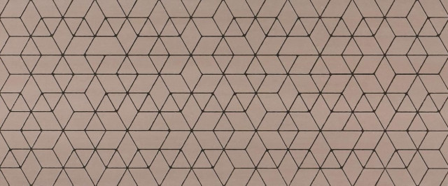 Atlas Concorde Mek Rose Hexagon 50x120