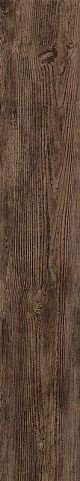 Atlas Concorde Nash Light Brown 20x120