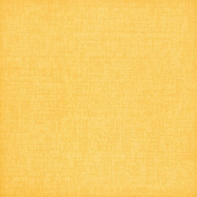 Bardelli Colorado B2 20x20