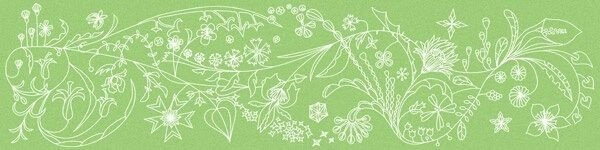 Bardelli Primavera Colore Platinum B8 10x40