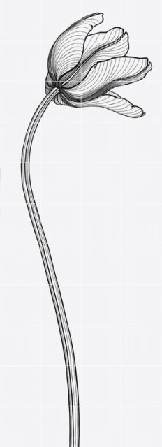 Bardelli Tuli-charme 4 80x220