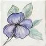 Bayker Memorie Jardin Viola 10x10