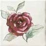 Bayker Memorie Jardin Rosa 10x10