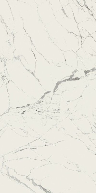 Caesar Anima Statuario Silk 160x320