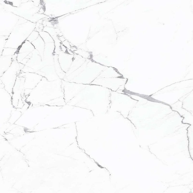 Caesar Anima Statuario Silk 120x120