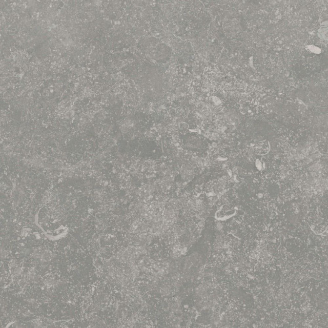 Caesar Extra C Mons 30mm RT 60x60