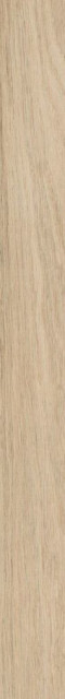 Caesar Fabula Ulmus RT 6x60