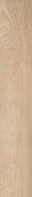 Caesar Fabula Ulmus RT 20x120