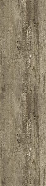 Caesar Extra C Honey 20mm RT 30x120
