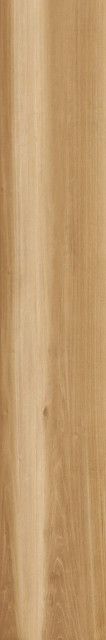 Caesar Life Oak 20x120