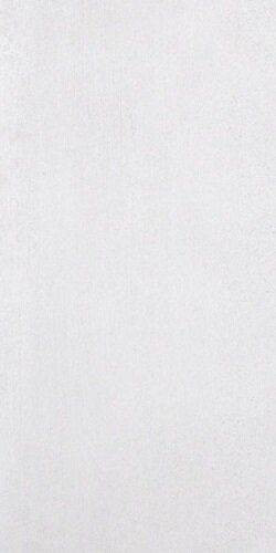 Casalgrande Cemento Rasato Bianco R9 10mm 60x120
