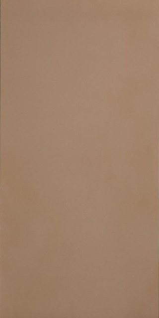Casalgrande R-Evolution Terra 9mm 60x120