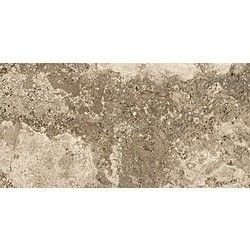 Century Aurum Artis Grip 25×50