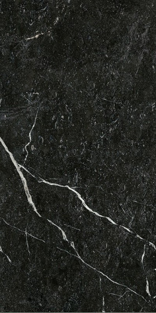 Century Contact Vogue Molato Ret 60x120