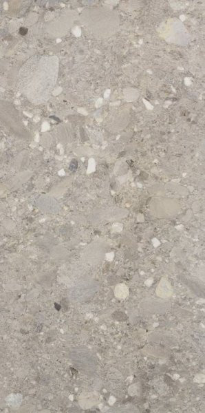 Cercom Ceppo Grigio Rett 60x120