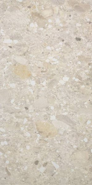 Cercom Ceppo Avorio Rett 60x120