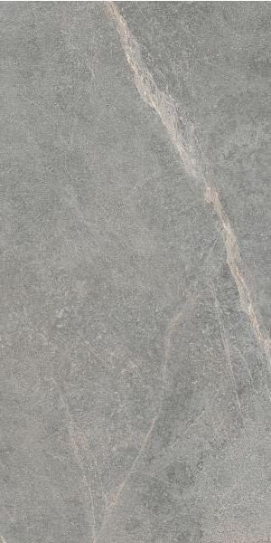 Cercom Soap Stone Grey Rett 60х120