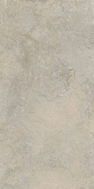Cercom Stone Vision Ash Nat Ret 60x120H0.95